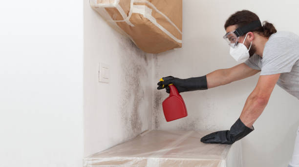 Professional Crawl Space Mold Removal technician working in Baldwin, NY