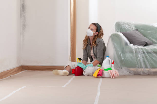 Reliable Crawl Space Mold Removal contractor in Baldwin, NY by WQB Mold Removal